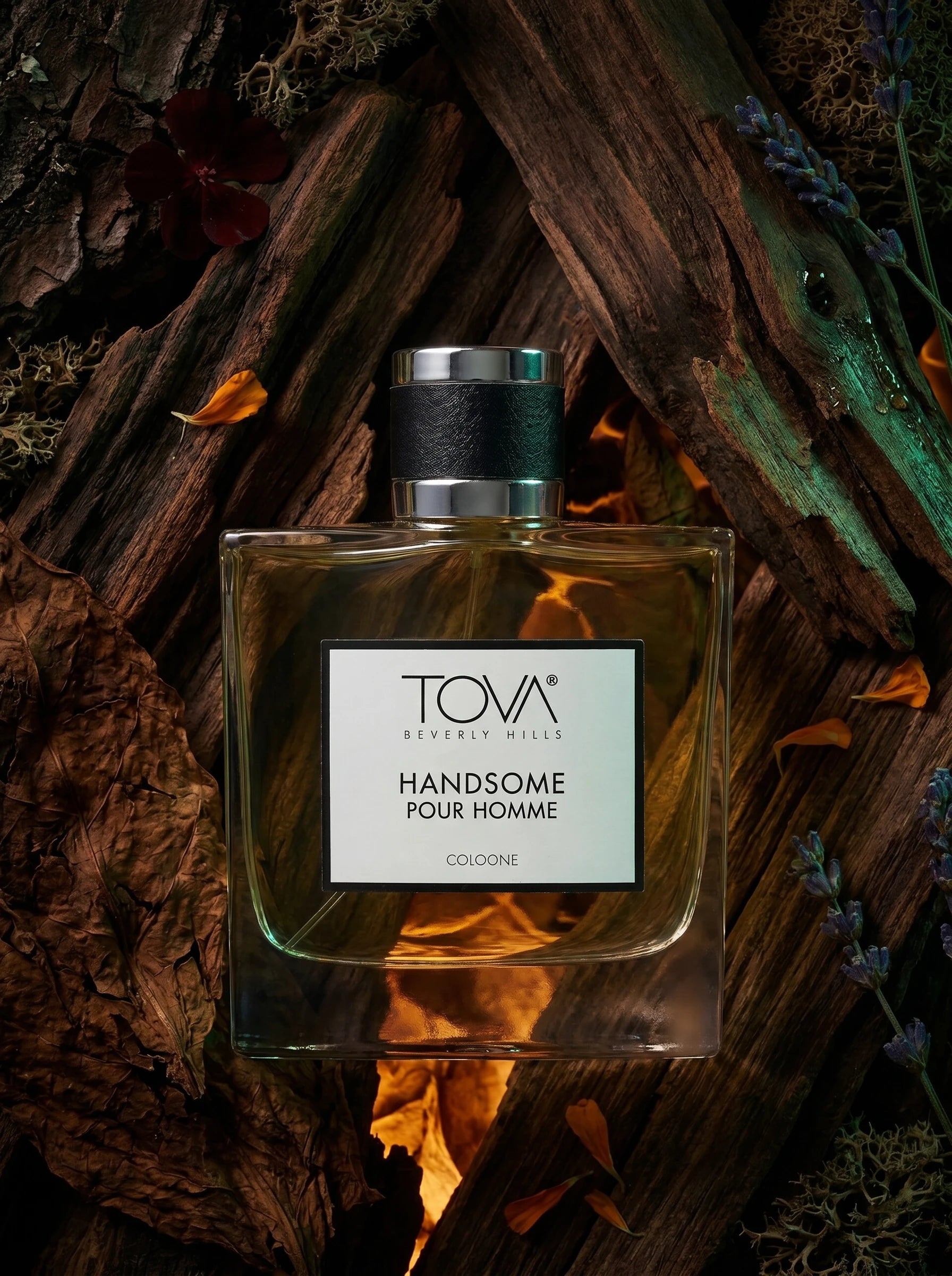 TOVA Handsome