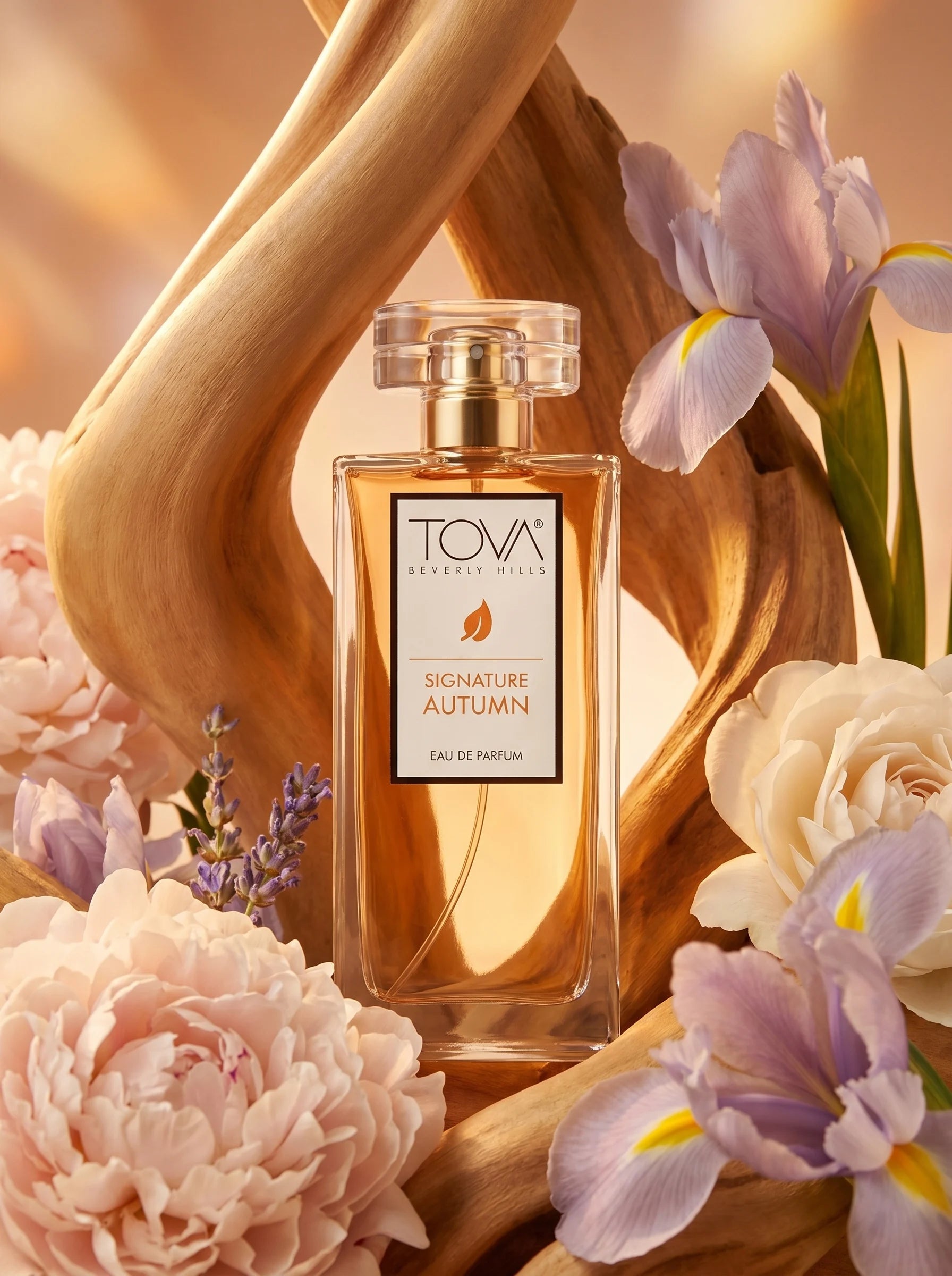TOVA Signature Autumn